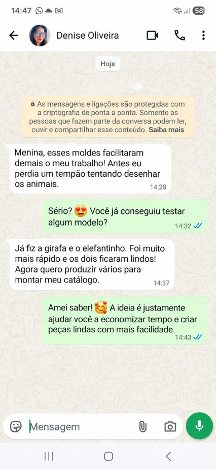 Depoimento de Denise Oliveira no WhatsApp sobre os moldes de arte em arame